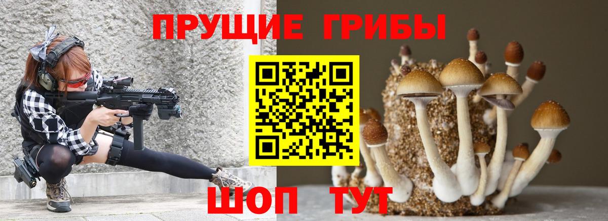 Псилоцибиновые грибы Psilocybe  Вход с VPN  Белореченск 