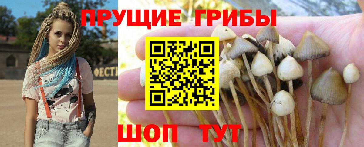 Галлюциногенные грибы ЛСД Белореченск